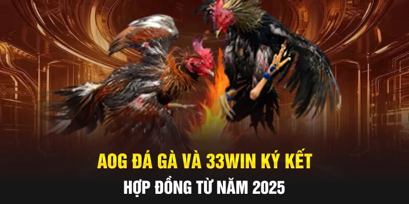 AOG đá gà và 33WIN ký kết hợp đồng từ năm 2025
