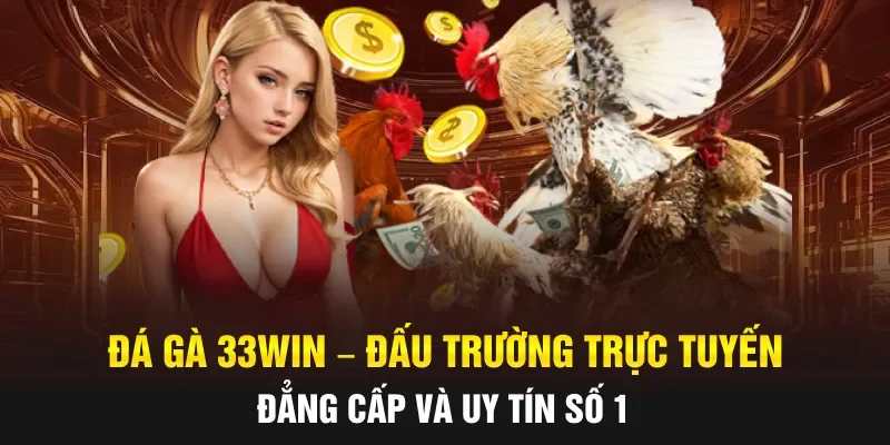 Đá Gà 33WIN – Đấu Trường Trực Tuyến Đẳng Cấp Và Uy Tín Số 1