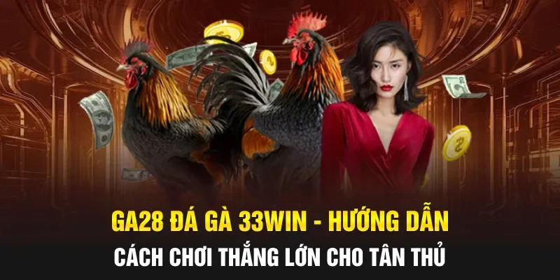 GA28 Đá Gà 33WIN - Hướng Dẫn Cách Chơi Thắng Lớn Cho Tân Thủ