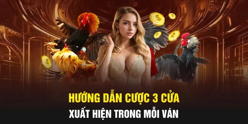 Hướng dẫn cược 3 cửa xuất hiện trong mỗi ván