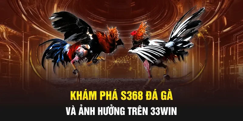 Khám phá S368 Đá gà và ảnh hưởng trên 33WIN