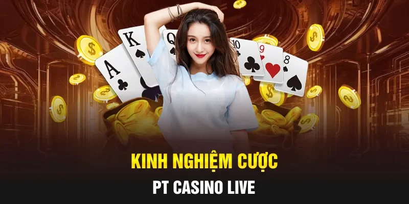 Kinh nghiệm cược PT casino live