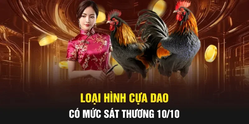 Loại hình cựa dao có mức sát thương 10/10