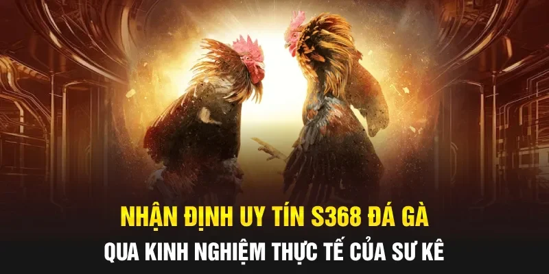 Nhận định uy tín S368 Đá gà qua kinh nghiệm thực tế của sư kê