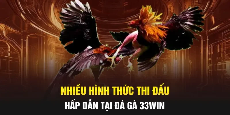 Nhiều hình thức thi đấu hấp dẫn tại đá gà 33WIN