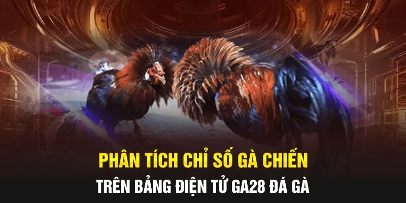 Phân tích chỉ số gà chiến trên bảng điện tử GA28 Đá gà