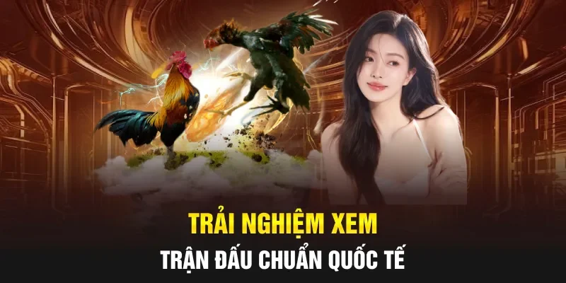 Trải nghiệm xem trận đấu chuẩn quốc tế