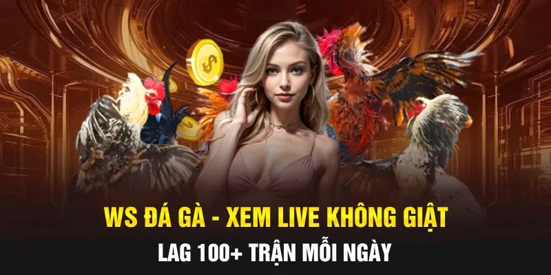 WS Đá Gà - Xem Live Không Giật Lag 100+ Trận Mỗi Ngày